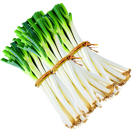 山东大葱火锅蘸酱