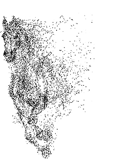 创意粒子骏马奔腾