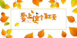 秋季爱上这个秋天树叶边框