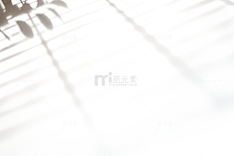 树枝太阳光光效