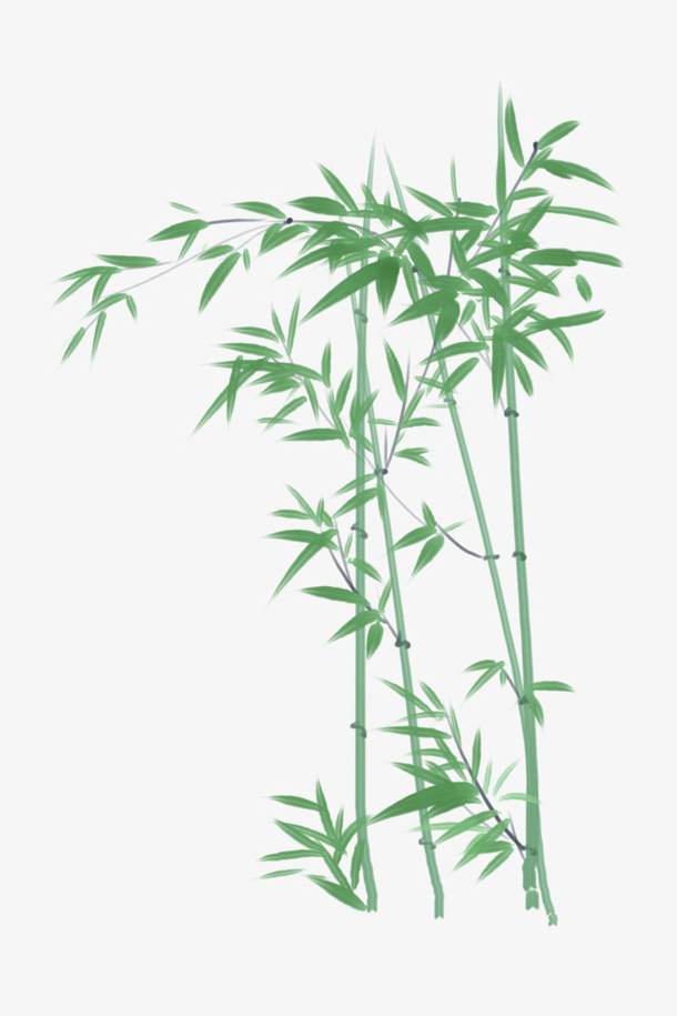 竹子,装饰,卡通,古风