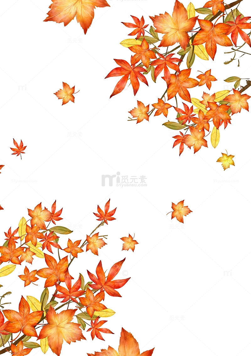 手绘的秋天枫叶图