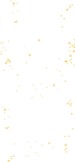 晚上发光的萤火虫