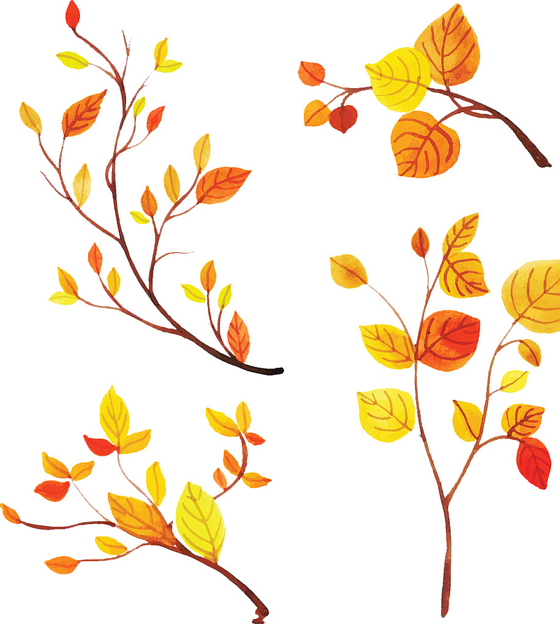 黄色秋天树叶图片
