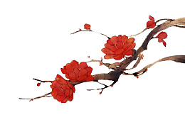 梅花 一支 红梅 手绘
