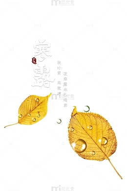 秋天寒露树叶水滴