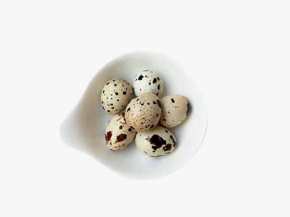 火锅配菜鹌鹑蛋素材免费下载_觅元素