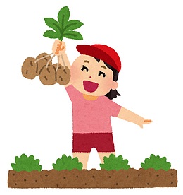 小女孩在田间拔土豆