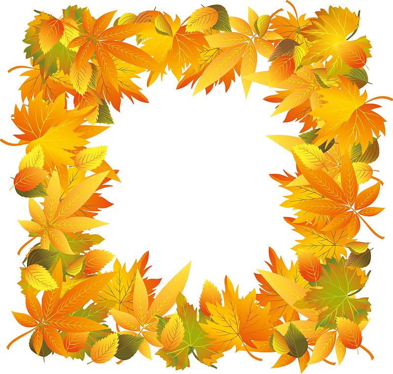 秋季枫叶方形边框