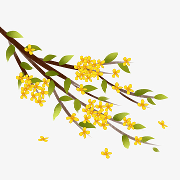 桂花树枝元素