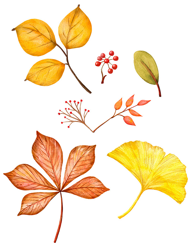 手绘秋天的树木的落叶
