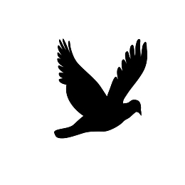 鸽子小鸟矢量图高清