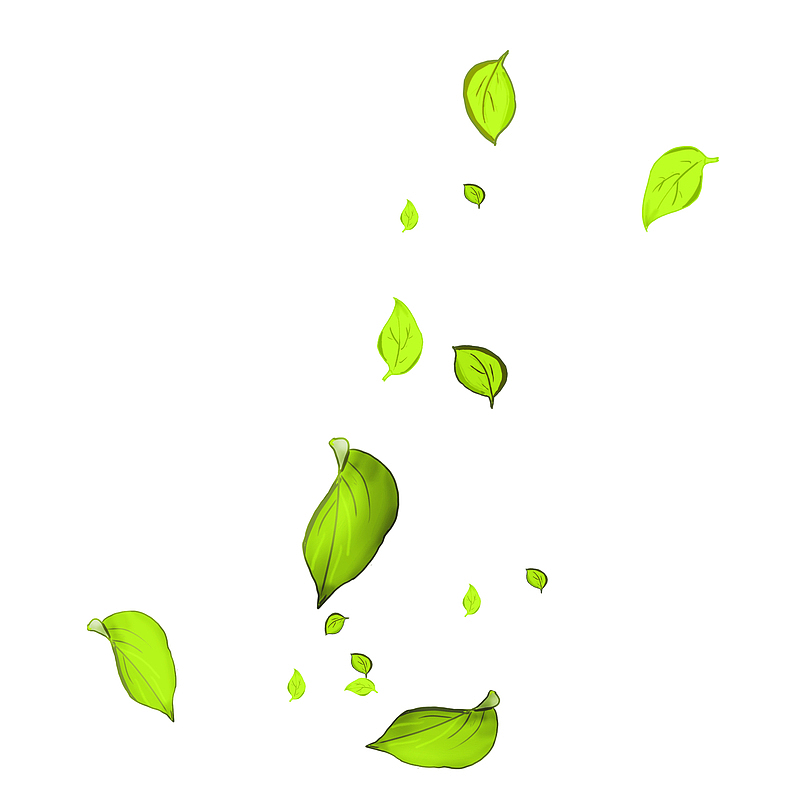 漂浮的绿色叶子插画手绘图