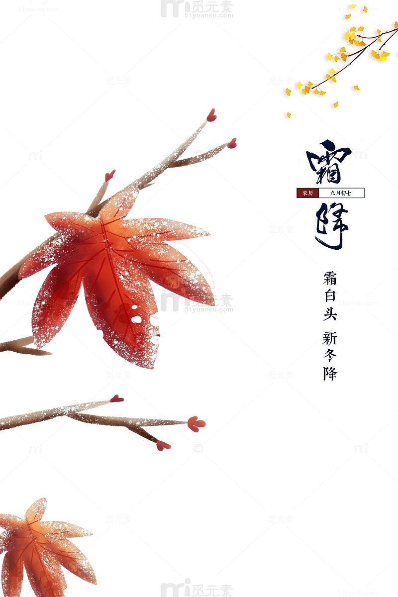 霜降节气手绘枫叶树枝元素图