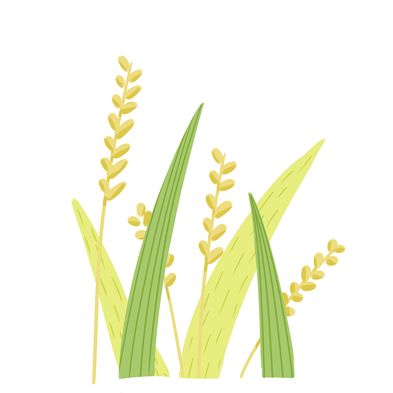 手绘秋季植物麦穗插画元素