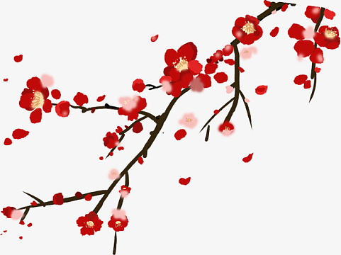 一直红梅出墙来