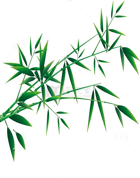 绿色有线条的竹叶