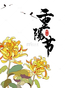 重阳节菊花元素图