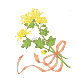 手绘菊花秋天重阳节