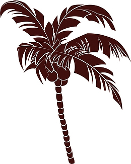 椰树 PNG 海滩 沙滩