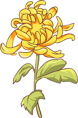 手绘黄色野菊花