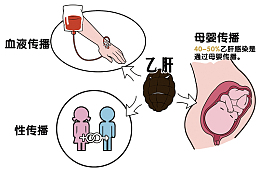 乙肝传播途径