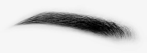 证件照修图眉毛素材免费下载_觅元素