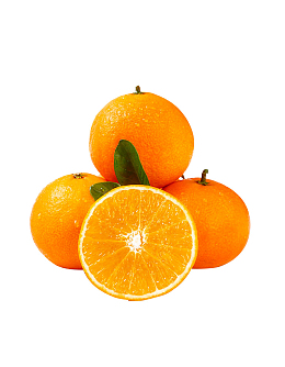 爱媛38号果冻橙