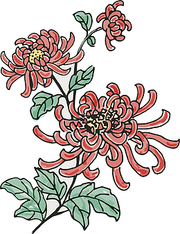 清新粉色花朵手绘菊花装饰元素图片