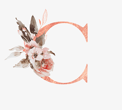 24个英文字母c