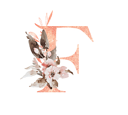 24个英文字母F