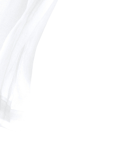 家里窗户的窗纱