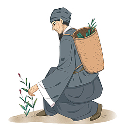 中医 老中医 采药 手绘 卡通