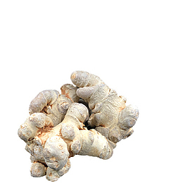 文山三七头冻干