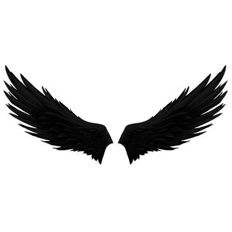 黑天使翅膀 万圣节黑色翅膀