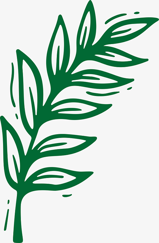 绿色 树叶 简笔画