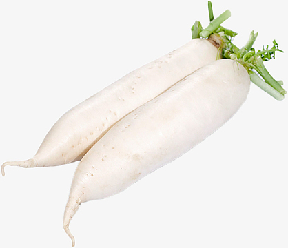 生萝卜素材_生萝卜图片元素-觅元素