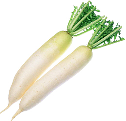 生鲜，蔬菜，萝卜，白萝卜