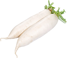 生鲜，蔬菜，萝卜，白萝卜，近景