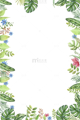 绿色树叶森林边框
