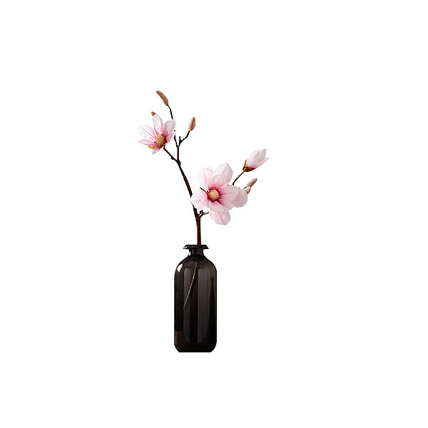 简单的黑花瓶