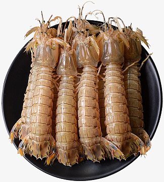 高钙脆皮虾素材_高钙脆皮虾图片元素-觅元素