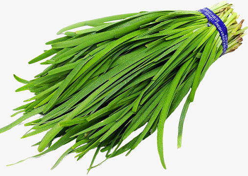 一把新鲜的韭菜