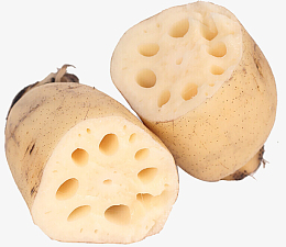 一根切开的莲藕