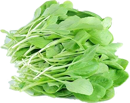 鸡毛菜，小青菜
