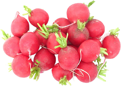 圆萝卜共6279个结果