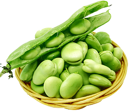 新鲜蚕豆剥壳