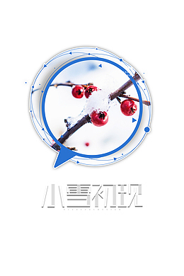 冬季小雪二十四节气小学初现树枝