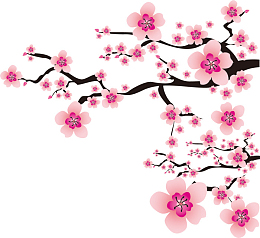 樱花，装饰花，樱花合集，cdr