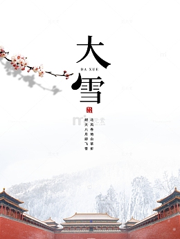 冬天大雪梅花故宫